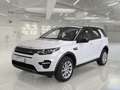 Land Rover Discovery Sport 2.0 TD4 150cv Auto Business Edition Premium SE - thumbnail 1