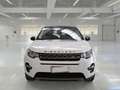 Land Rover Discovery Sport 2.0 TD4 150cv Auto Business Edition Premium SE - thumbnail 2