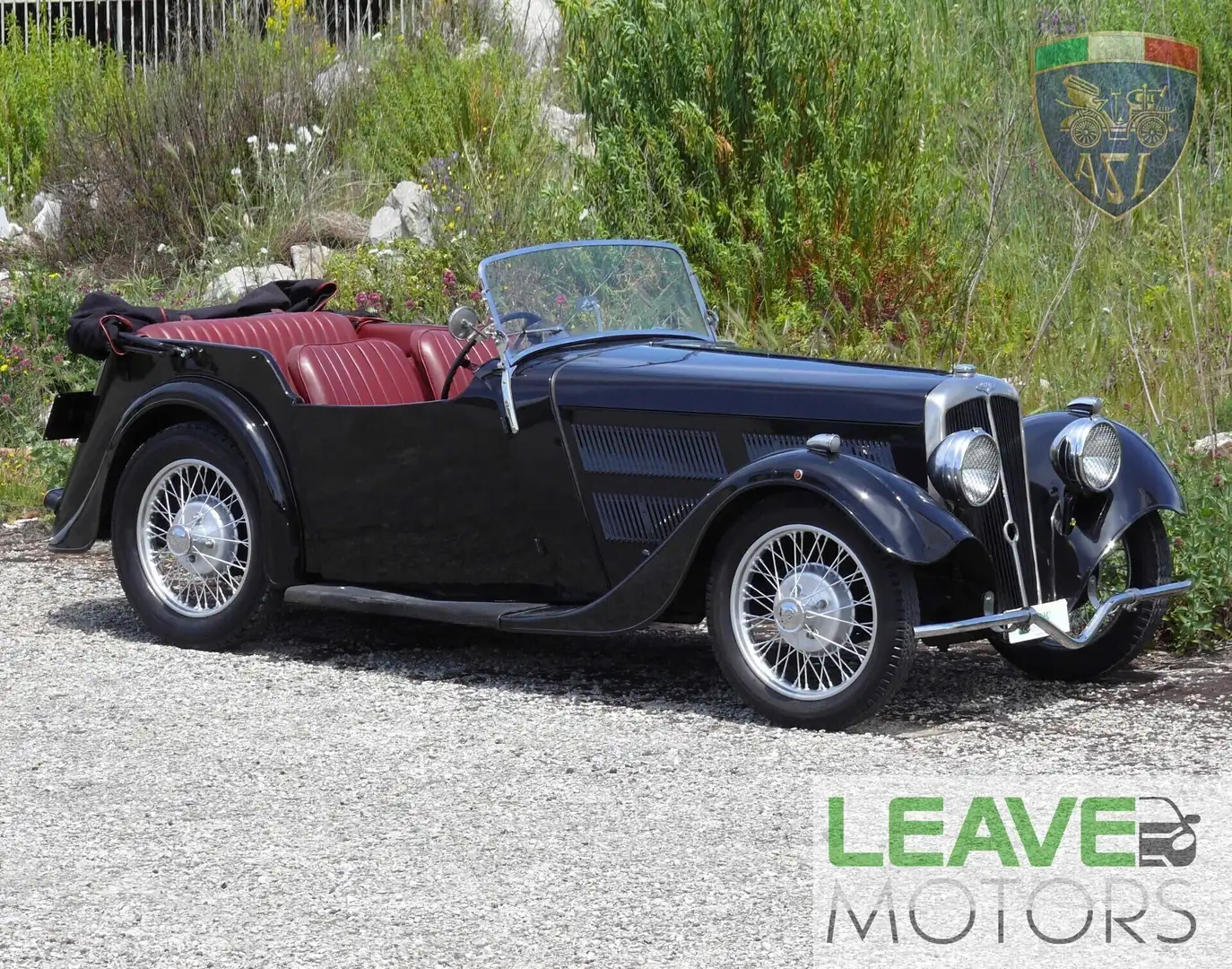 9ff Sonstige BSA SCOUT - ASI TARGA ORO (M0525) Schwarz - 1