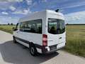 Mercedes-Benz Sprinter L2H2 9 Sitzer 314 CDI 3,5 t Erstbesitz Weiß - thumbnail 3