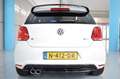 Volkswagen Polo R WRC 2.0 TSI GTI Blanc - thumbnail 5