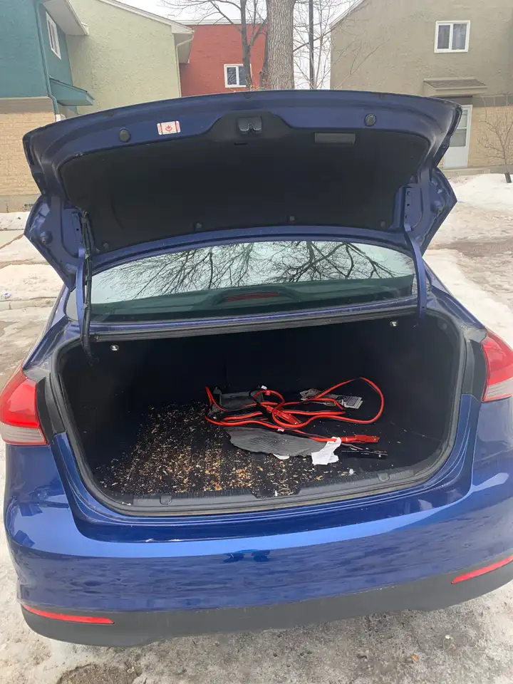Kia Forte снимка Kia Forte