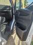 Iveco Daily 35 180 autotelaio anno 2019 gemellato Alb - thumbnail 7