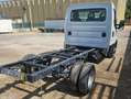 Iveco Daily 35 180 autotelaio anno 2019 gemellato Alb - thumbnail 2