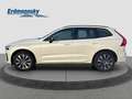 Volvo XC60 B4 Plus Dark AWD/Navi/AHK/Standhz/BLIS/GJR Klima Blanc - thumbnail 5