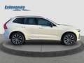 Volvo XC60 B4 Plus Dark AWD/Navi/AHK/Standhz/BLIS/GJR Klima Blanc - thumbnail 6