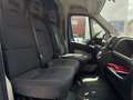 Fiat Ducato Hochr.-Kasten 35 130 - thumbnail 12