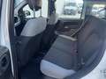 Fiat Panda 1.0 firefly hybrid City Life s&s 70cv Bianco - thumbnail 13