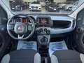 Fiat Panda 1.0 firefly hybrid City Life s&s 70cv Bianco - thumbnail 9