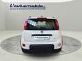 Fiat Panda 1.0 firefly hybrid City Life s&s 70cv Bianco - thumbnail 6