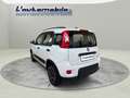Fiat Panda 1.0 firefly hybrid City Life s&s 70cv Bianco - thumbnail 5