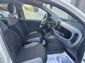 Fiat Panda 1.0 firefly hybrid City Life s&s 70cv Bianco - thumbnail 12
