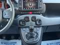 Fiat Panda 1.0 firefly hybrid City Life s&s 70cv Bianco - thumbnail 11