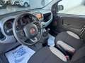 Fiat Panda 1.0 firefly hybrid City Life s&s 70cv Bianco - thumbnail 15