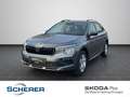 Skoda Kamiq 1.0 TSI DSG Selection Travel Assist, ACC, Grau - thumbnail 1