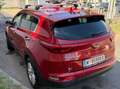 Kia Sportage Sportage 1,7 CRDI ISG Gold Gold Rot - thumbnail 3