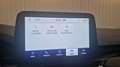 Ford Kuga 2.5 190 Hybrid FlexiFuel Pshif ST-Line - thumbnail 13