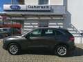Ford Kuga 2,5 Duratec PHEV Titanium Aut. Grau - thumbnail 2