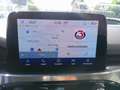 Ford Kuga 2,5 Duratec PHEV Titanium Aut. Grau - thumbnail 20
