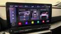 CUPRA Formentor 2.0 TSI 310ch VZ DSG7 4Drive / Beats Audio / Camér Gris - thumbnail 19