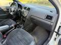Volkswagen Polo 1.2 TSI Highline R - LINE I PANO I CAMERA I PDC I Weiß - thumbnail 12