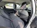 Toyota Yaris 1.5 Hybrid 5 porte Business km 9800!!!! Blanco - thumbnail 11