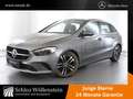 Mercedes-Benz B 200 Progressive/LED/Winter-P/Spiegel-P/RfCam Grau - thumbnail 1
