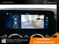 Mercedes-Benz B 200 Progressive/LED/Winter-P/Spiegel-P/RfCam Grau - thumbnail 16