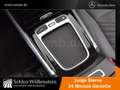 Mercedes-Benz B 200 Progressive/LED/Winter-P/Spiegel-P/RfCam Grau - thumbnail 23