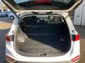 Hyundai SANTA FE Santa Fe 2,2 CRDi 4WD Level 6 Level 6 4WD Weiß - thumbnail 10