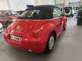 Volkswagen New Beetle 2.0Cabrio Highline*Leder*Klima*Sitzheiz.*erst78TKM Rot - thumbnail 4