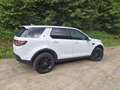 Land Rover Discovery Sport 2,2 TD4 4WD S Aut. - thumbnail 2