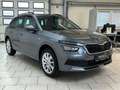 Skoda Kamiq Tour 1.0 TSI DSG AHK Kamera SHZ LED Freispr Grau - thumbnail 8