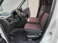 Fiat Doblo 1.6 MJT Van Maxi 3 Posti  Prezzo+IVA Weiß - thumbnail 10