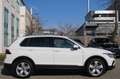 Volkswagen Tiguan Life 1.4 TSI *HEAD UP-PANO-AMBIENT-KAMERA Weiß - thumbnail 5