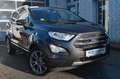 Ford EcoSport Titanium X AHK Glasdach Kamera NAVI Grigio - thumbnail 1