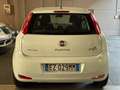 Fiat Punto Punto 5p 1.2 Street E6 - Neopatentati Bianco - thumbnail 5