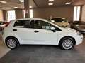 Fiat Punto Punto 5p 1.2 Street E6 - Neopatentati Bianco - thumbnail 7