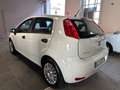 Fiat Punto Punto 5p 1.2 Street E6 - Neopatentati Bianco - thumbnail 4