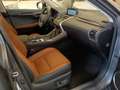 Lexus NX 300 NX Hybrid 4WD Luxury Grau - thumbnail 6