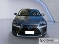 Lexus NX 300 NX Hybrid 4WD Luxury Grau - thumbnail 5