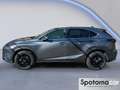 Lexus NX 300 NX Hybrid 4WD Luxury Grau - thumbnail 3