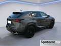 Lexus NX 300 NX Hybrid 4WD Luxury Grau - thumbnail 21