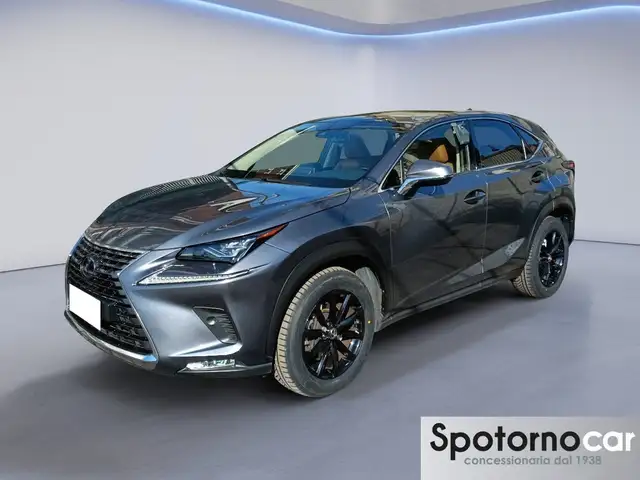 Lexus NX 300 NX Hybrid 4WD Luxury