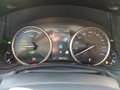 Lexus NX 300 NX Hybrid 4WD Luxury Grau - thumbnail 13