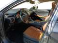 Lexus NX 300 NX Hybrid 4WD Luxury Grau - thumbnail 15