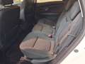 Renault Scenic 1.3 TCe Energy Limited 103kW Blanco - thumbnail 23