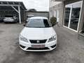 SEAT Leon Reference 1,0 TSI *SITZH*TEMP*BT*MFL*TOP* Weiß - thumbnail 2