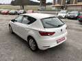 SEAT Leon Reference 1,0 TSI *SITZH*TEMP*BT*MFL*TOP* Weiß - thumbnail 4