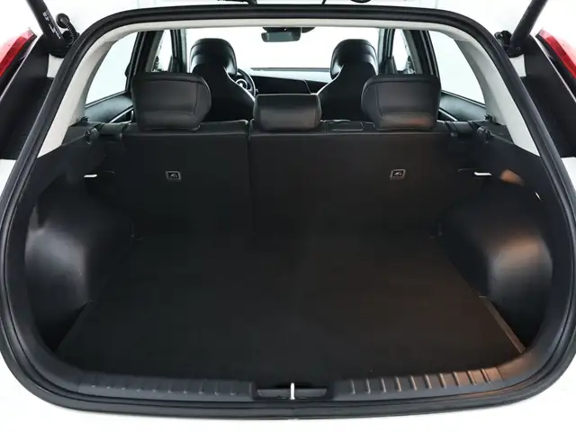 Kia e-Niro view 6